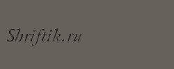 G4L A01 Garamond Italic 